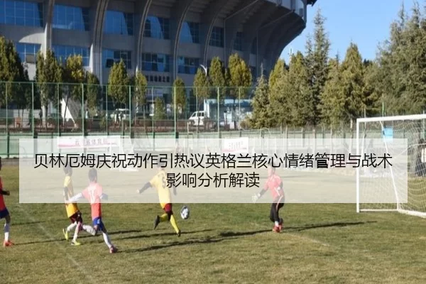 bei-lin-e-mu-qing-zhu-dong-zuo-yin-re-yi-ying-ge-lan-he-xin-qing-xu-guan-li-yu-zhan-shu-ying-xiang-fen-xi-jie-du-1-520.jpg
